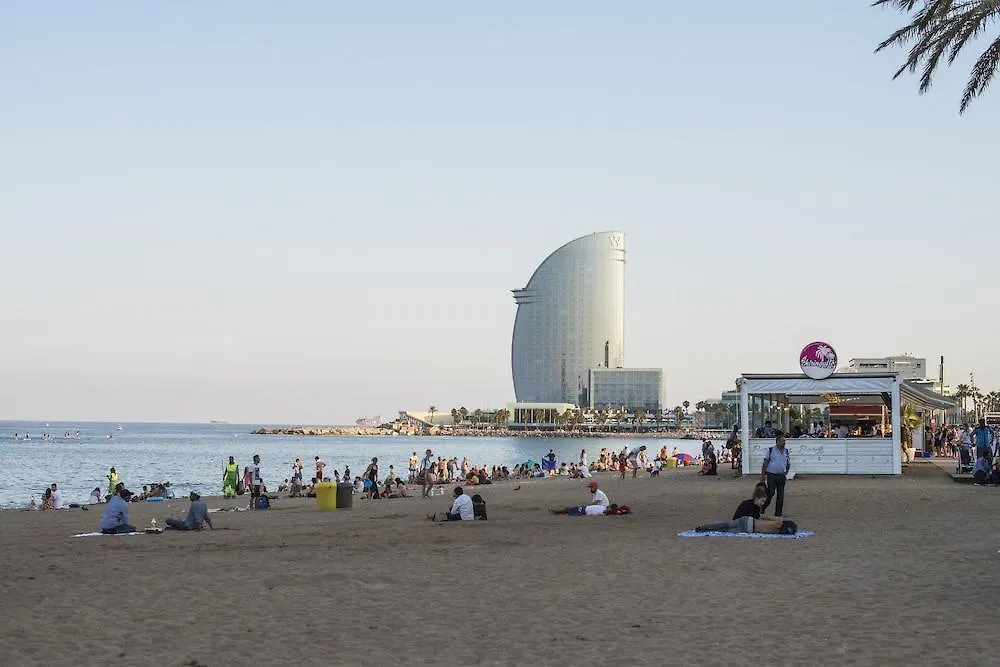 Safestay Barcelona Gothic İspanya